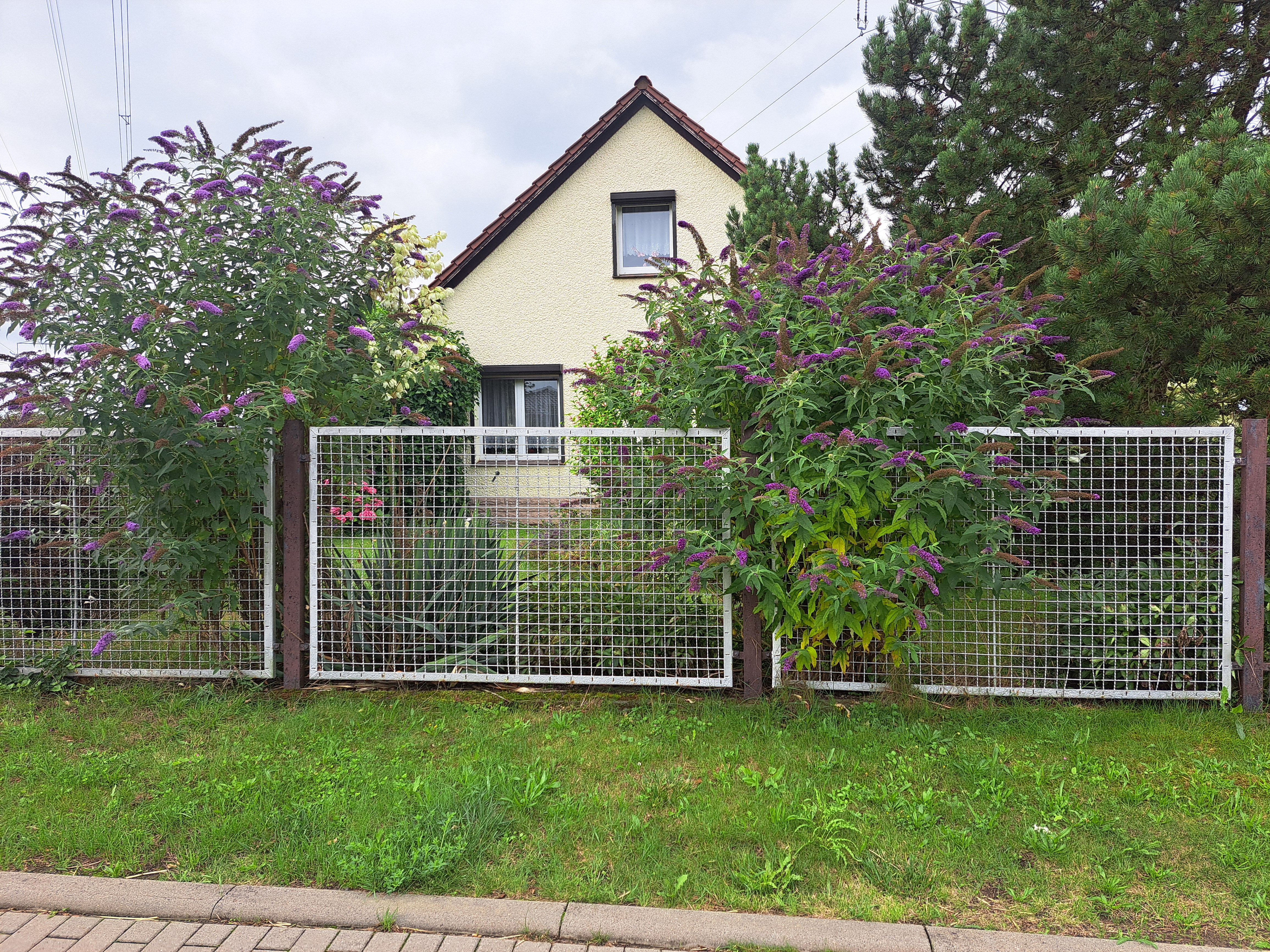 Charmantes Einfamilienhaus mit Gestaltungspotenzial